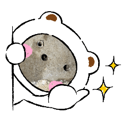 phttt_20260204070101