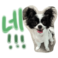 naoc1120_20260202001405