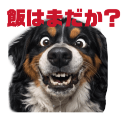 micopuru_20260202215916