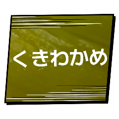 haruka_20260202224712