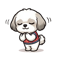 Sassy Shih Tzu: Travel & Life