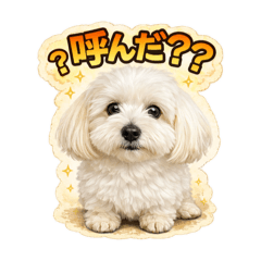 reina_20260202214232