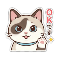 NAOMI_20260204002134