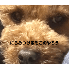 Mugi_20260204012138