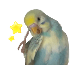 misaki_20260204043336