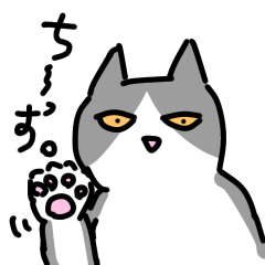 Bicolor and fat cat