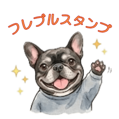 French bulldog kuro