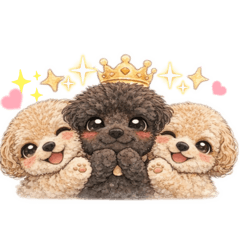 manmarumama_20260202165227