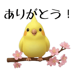 Sakura Cockatiel Greetings