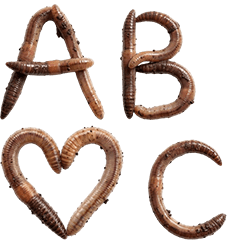 Huruf Alfabet Cacing