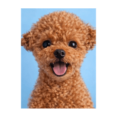 Chocomint_20260204095555