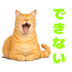 kakanon_20260204045645