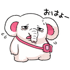 monogoma_20260204100045