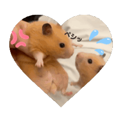 meemii_20260204100503