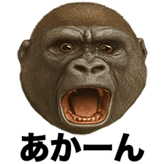 Irre Kosuya Kansaibengorira