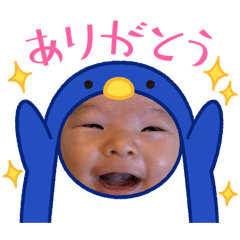 Shimo_20260204102135