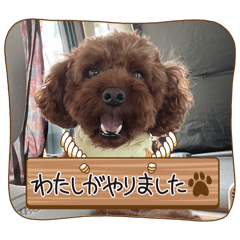 miochin_20260204110741