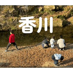 mimimi_20260203091359