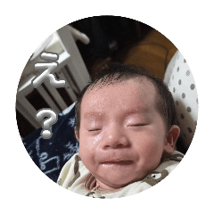 kazu_20260204110851v