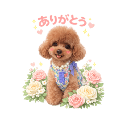 song june_20260204112227