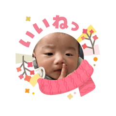 Umipanda_20260204113944