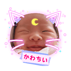 hikhik_20260204115141