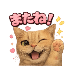 Happy stamp_20260204121137