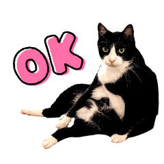 Kiku.c_20260204121930