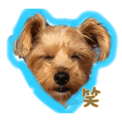 YON6273_20260204122244