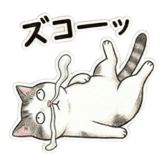 UCHIPETU_20260204121939