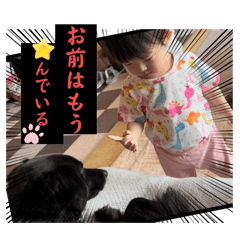 mechi_20260204123256