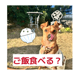 tomomi_20260203102246