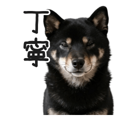 真顔で働く黒柴の丁寧すぎる敬語