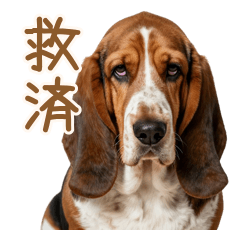 虚無顔で聞くバセットハウンド