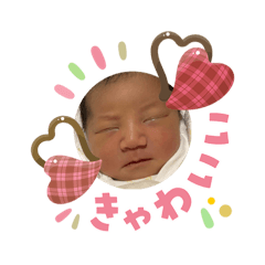 toshi_20260204193544