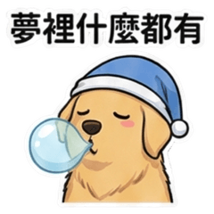 黃金亮亮：貪吃又厭世的毛孩日常