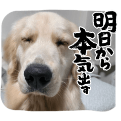 MIINA_20260204194721