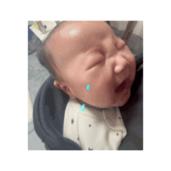 Konoka_20260204164113