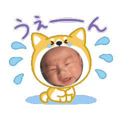 hirona_20260204221233