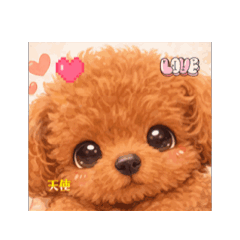 tina_20260205074754