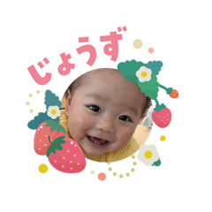 shima_20260204201350