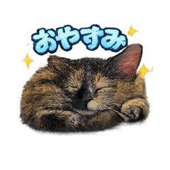 Happy stamp_20260204200853