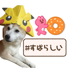 wan_chan_20260204212959
