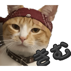 KIMUYAMA GONZAEMON_20260204213054