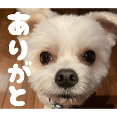 Yuuuu_20260204213412