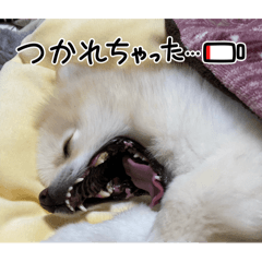 Mugi_20260204133410