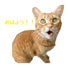 momomo_20260204143616