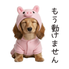 Taki Madoka_20260204144019