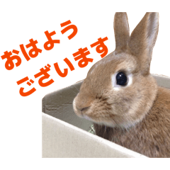 arisa_20260204221526