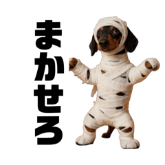 ZENtoFUKU_20260204140807